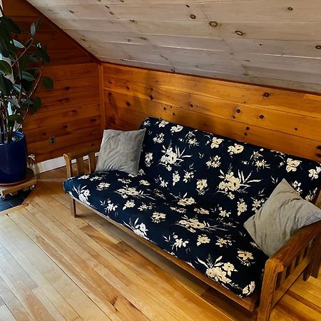 Bright And Cozy Treehouse Apartment Burlington Buitenkant foto